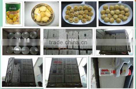 Preserved inteiro champignon mushroom cogumelo in tambor