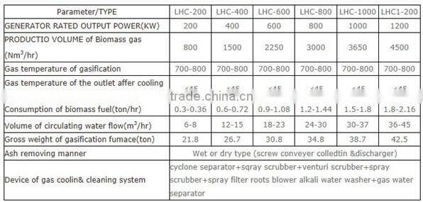 Biomass gasification type power generator