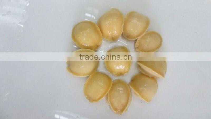 Canned Abalone Canned Seafood