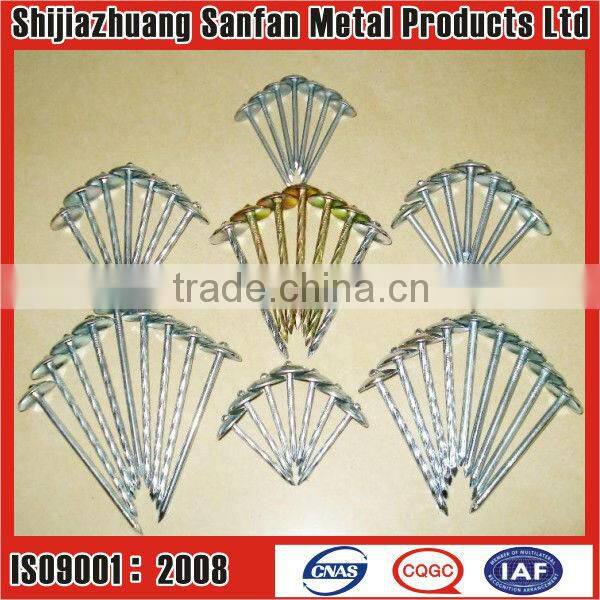 Sell Twisted shank roofing screw