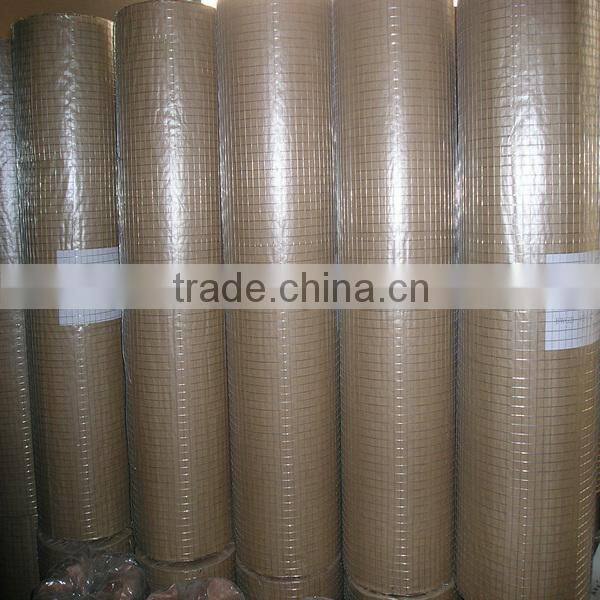 3/4 inch galvanized welded wire mesh best quality