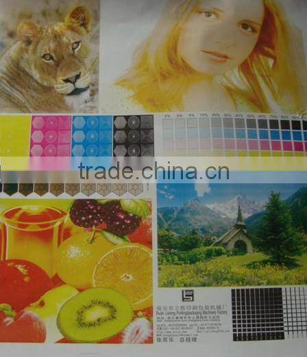 Full Automatic Flexible Printing Machine
