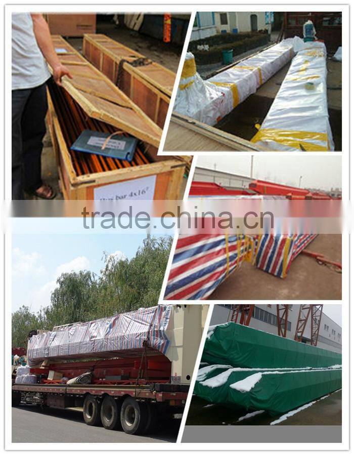 electric single girder lifting hoist overhead crane