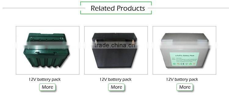 Small Lithium ion battery pack for ebike 36v 8.8ah dophine suit for 250w motor