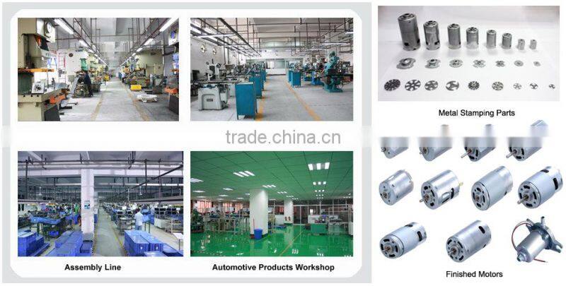 dc electric motor 48v 500w RS-997H