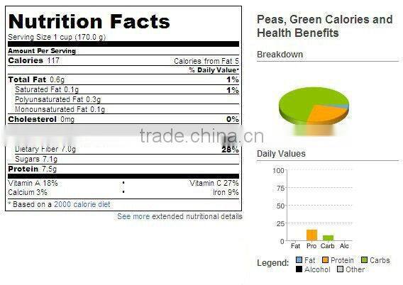Canned Broad Beans in tomato sauce