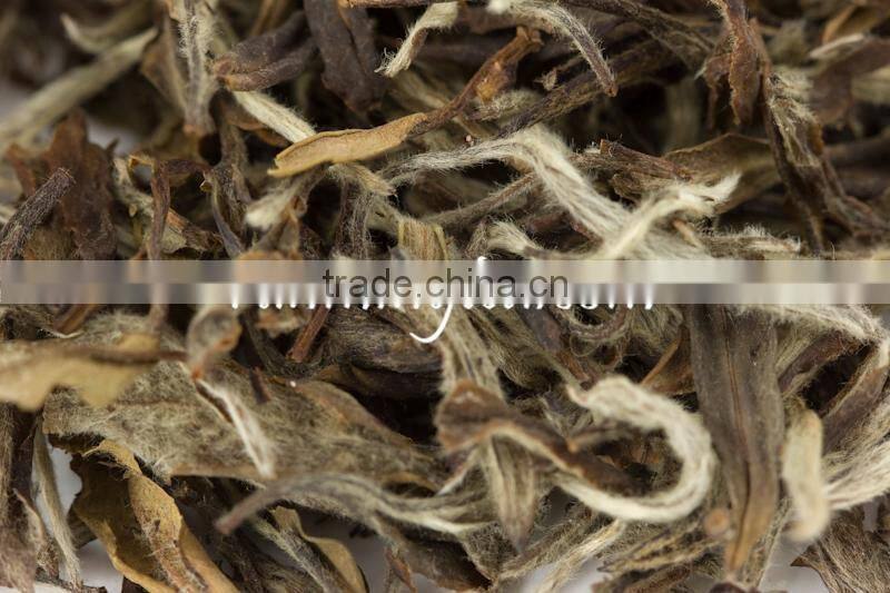 Pure Raw White Tea White Tea Extract