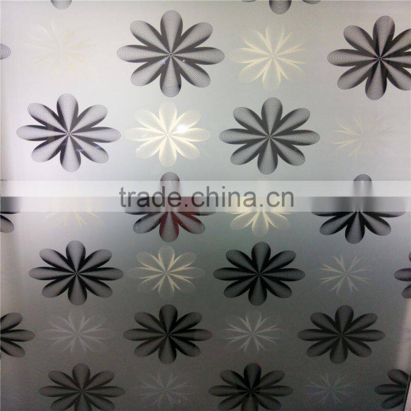 4-8mm Clear And Tinted Building Decorative Acid Etched Glass