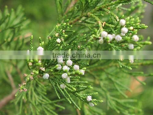 CEDARWOOD TERPENES (CUPARENE)