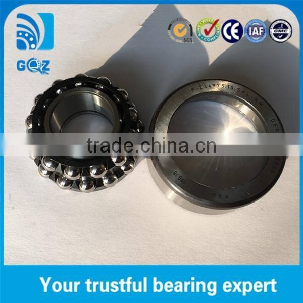 Germany origin 5 6 7 Series F-234975.10.SKL-AM Differential Bearing Repair Kits