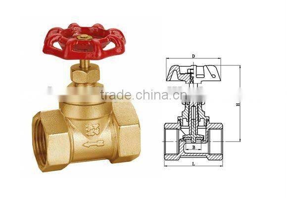 Cast Steel Globe Valve