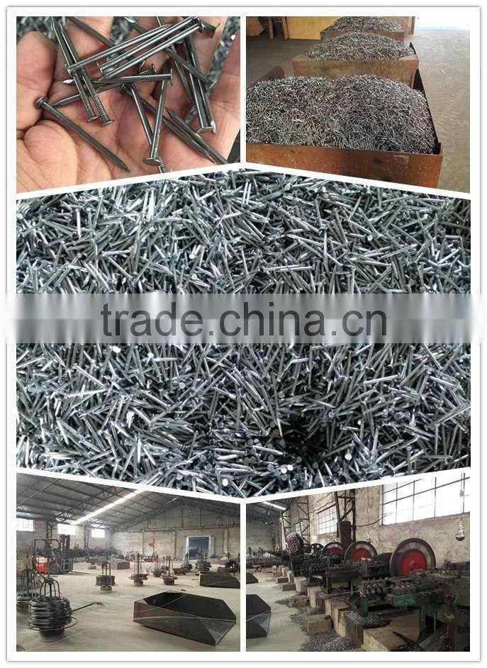 Round head common nails steel wire nails