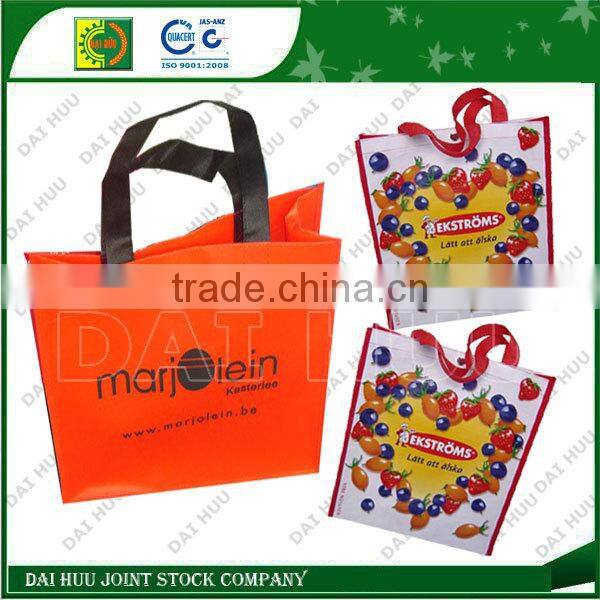 Fashional Lamination with BOPP shopping bag