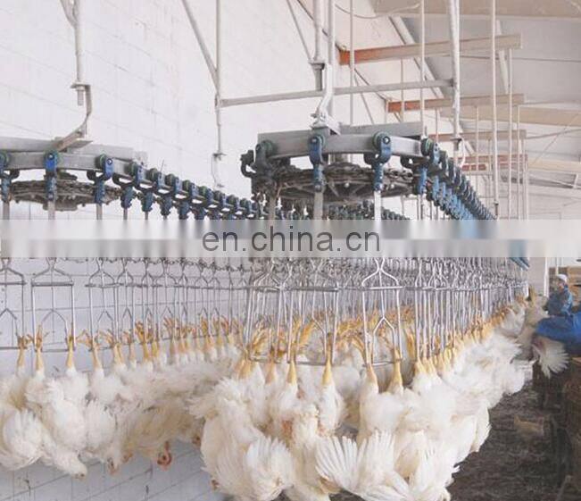 Muslim chicken slaughter machine for sale/ conveying line/ bloodletting