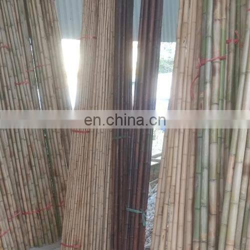 HOT!! BAMBOO RAW MATERIALS/ BAMBOO POLE/ BAMBOO STICK IN VIETNAM