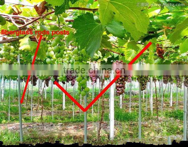 Hot sale pultruded fiberglass posts for vineyards support poles