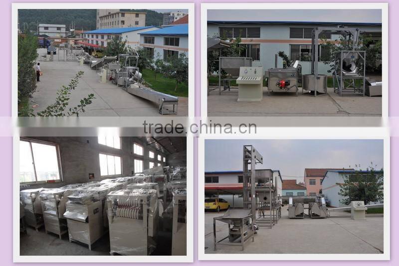 Peanuts nuts roasting machine