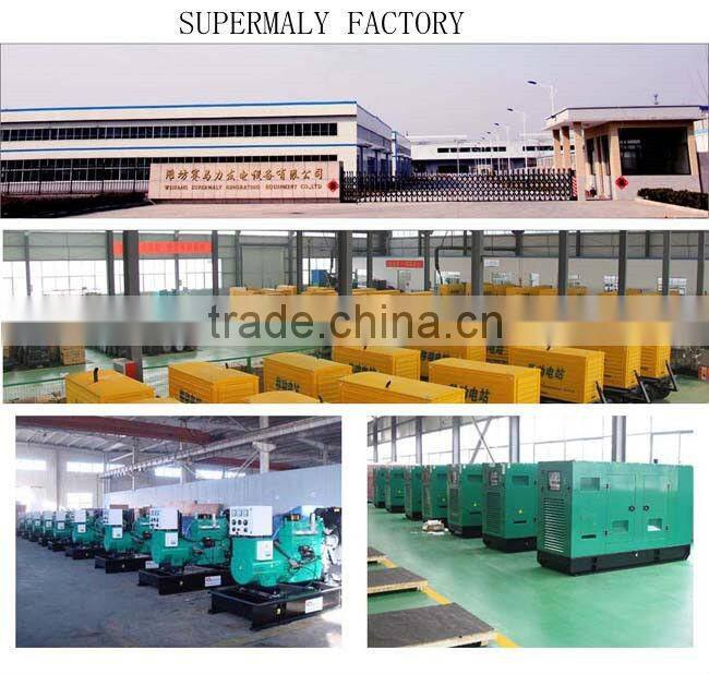 30kw dynamo price with alternator