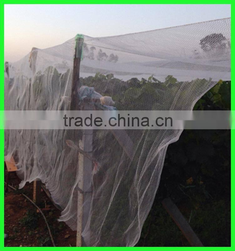 PE plastic UV treated guard hail net for grape plantation