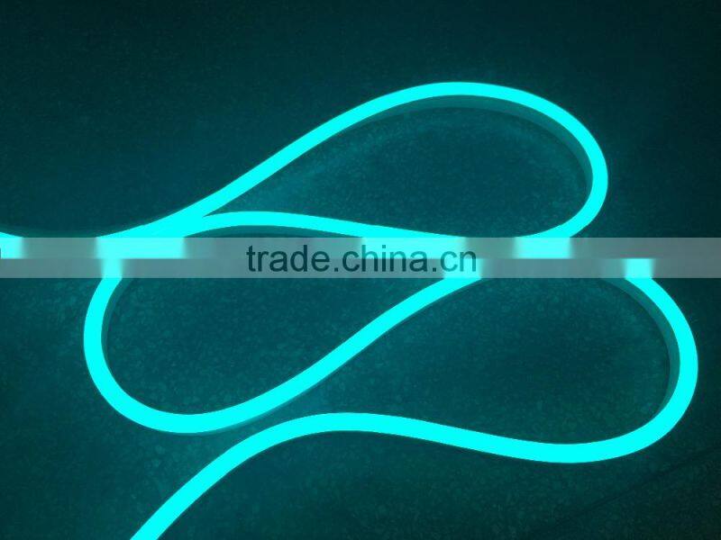 mini led rgb neon flex IP68 SMD5050 9X23mm