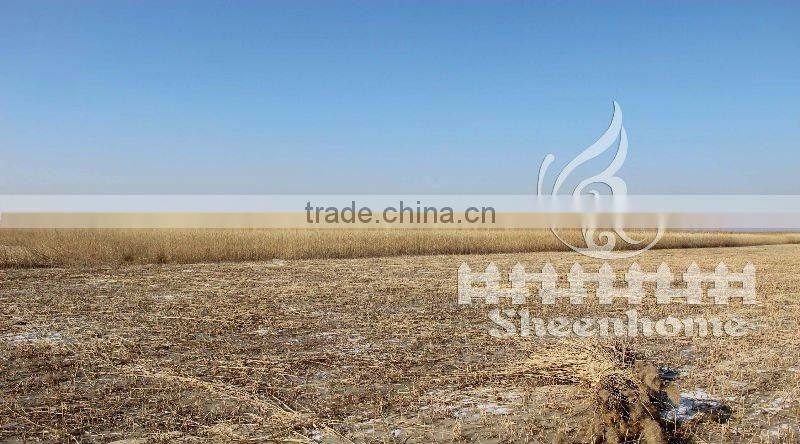 reed mat for yard fencing