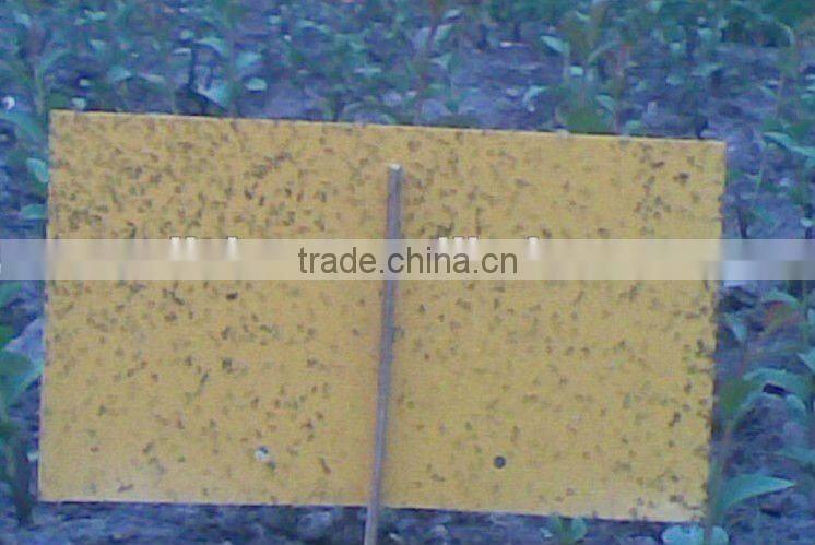 Hot Sale strong adhesive fly trap,yellow board insect killer,fly ribbon ,fly catcher