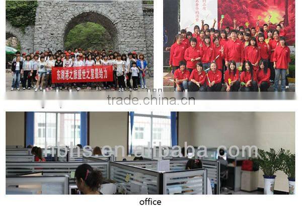 Waterproof military bag camping hiking backpack brand