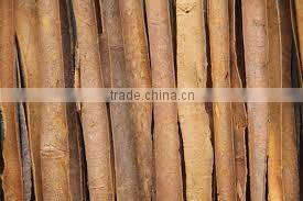 Good price split, powder, tube, broken Cassia/ Cinnamon Vietnam