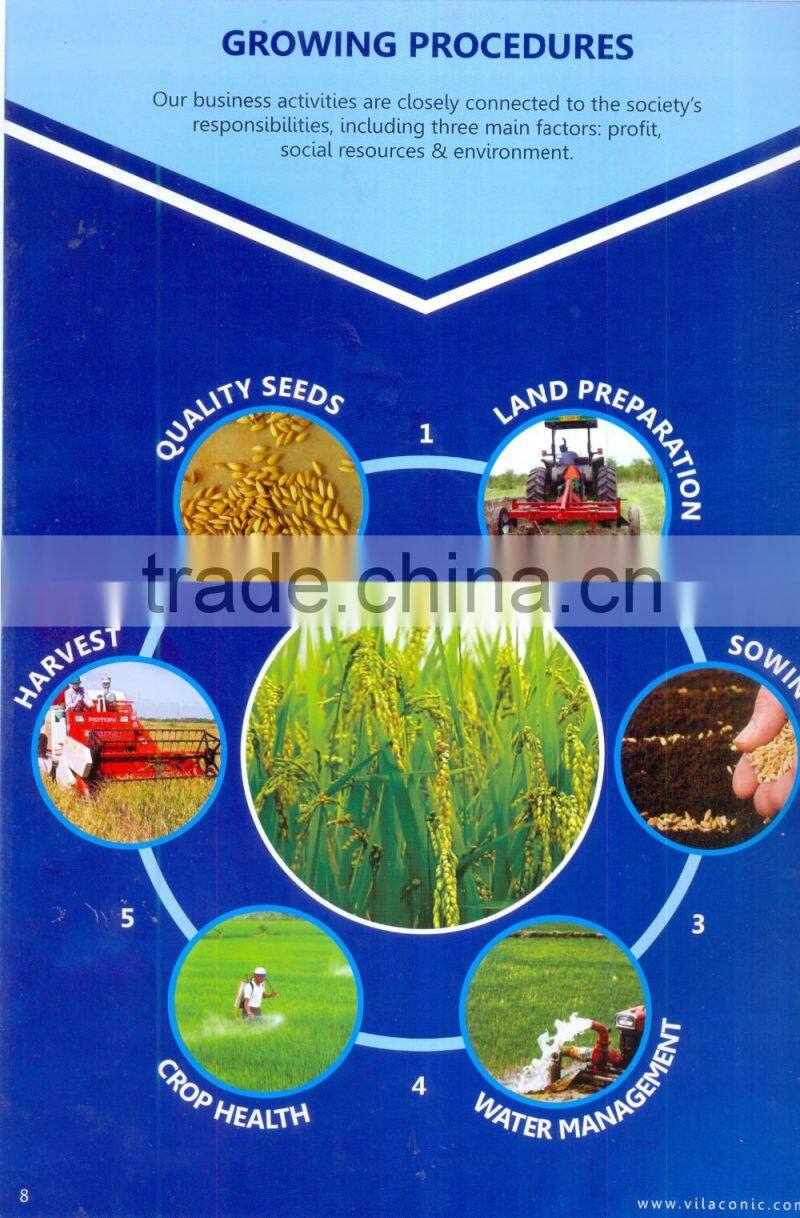 Round Rice(Skype: davis.thong, phone +84 986 778 999)