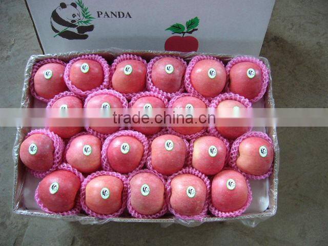 Yantai Fresh Sugar Apple for Sale