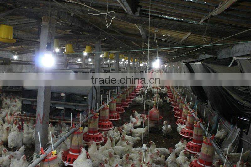 New type piston guage broiler breeder pan feeder for breeder house