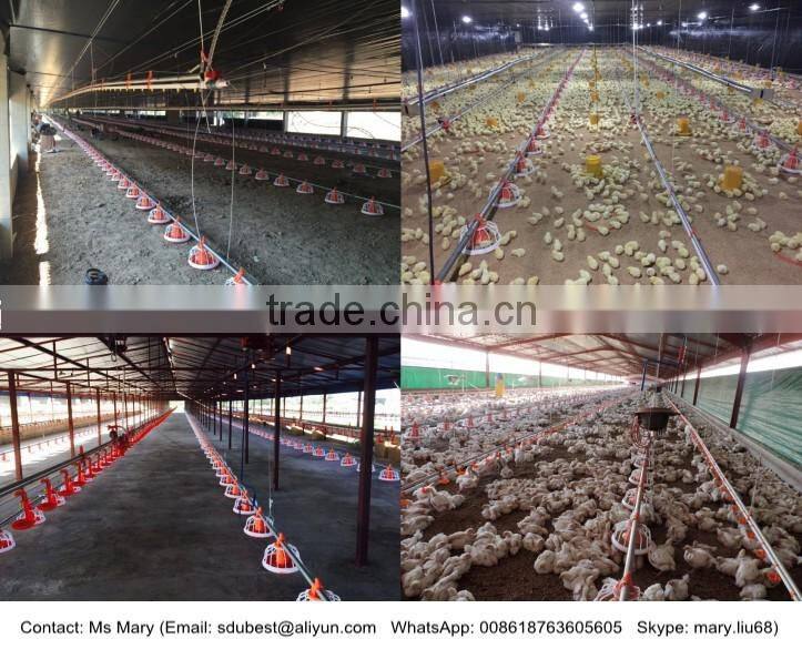 Automatic chicken feeding equipment for broilers
