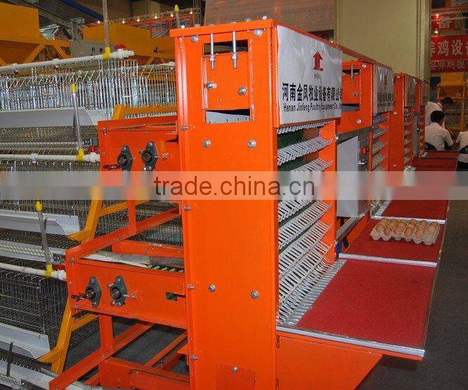 Automatic Egg Collection Equipment