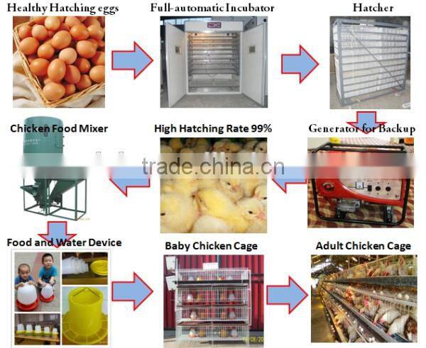 egg incubator china automatic portable mini poultry incubator machine chicken egg incubator