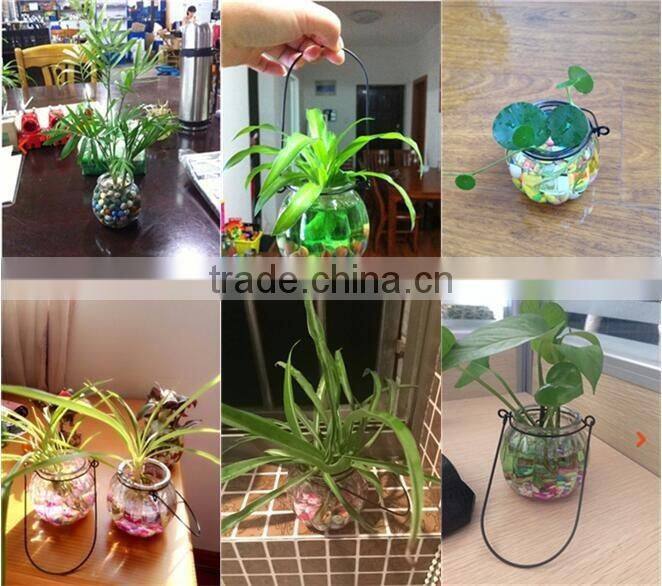 hang transparent glass vase/Other copper grass plants hang bottle hydroponic flower pot