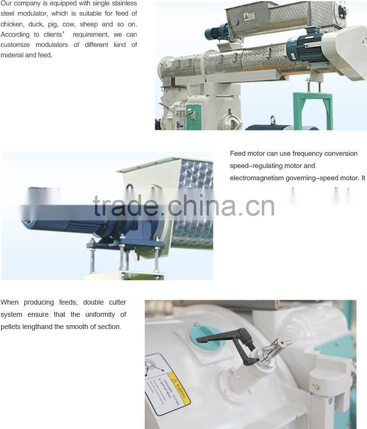 Fast delivery high technology wood pellet mill machine