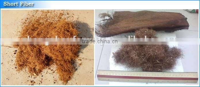 Oil Palm Empty Fruit Bunch Shredder EFB Shredder