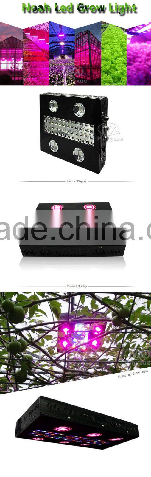 600W Noah4 Full Spectrum Indoor Plant Cob Led Grow Light