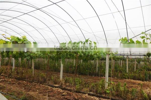Arch simple greenhouses for sale