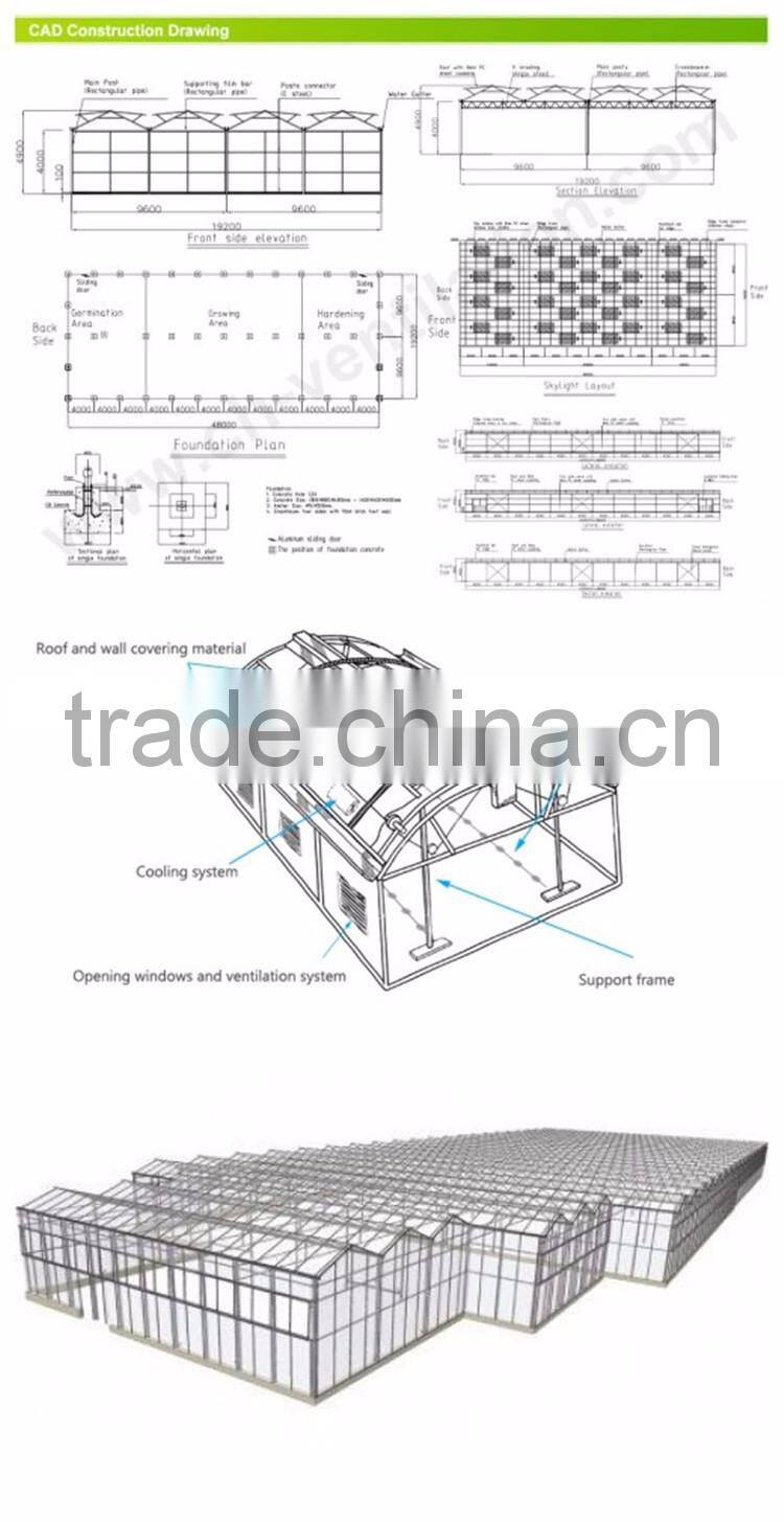 High Quality Tunnel Greenhouse