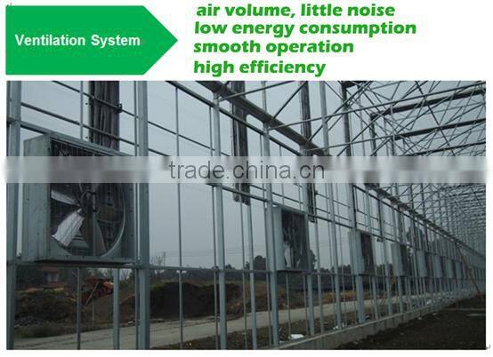 Greenhouse Ventilation Exhaust Cooling Fan
