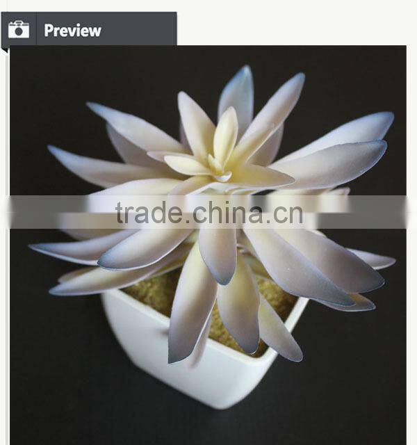 Hot sale artificial potted plants chinese succulent plants