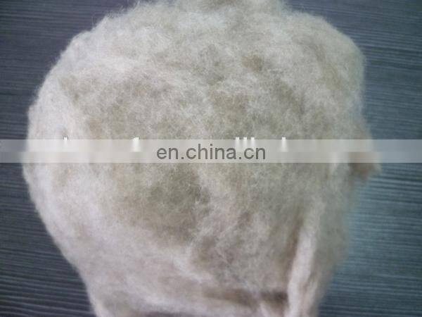 Dehaired and carded Cashmere Fiber Light Grey for india market
