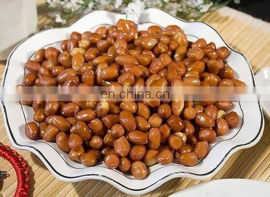 High quality small frying machine,frying machine line