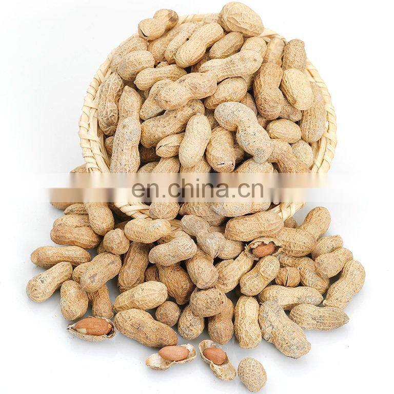 Cheap Price Dried Groundnut Bulk Raw Peanut In Shell