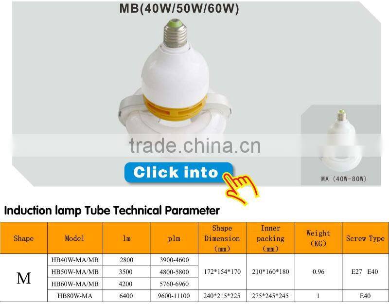induction high bay light