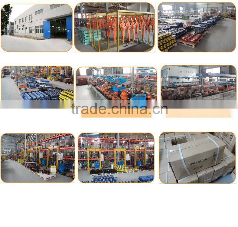 High Quality Pull Lift Chain Hoist