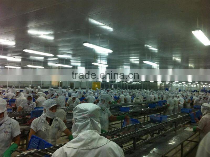 Frozen vananmei Shrimp Penaeus Vannamei