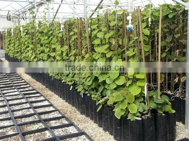 Tree planting needle punch sleeve growing bags