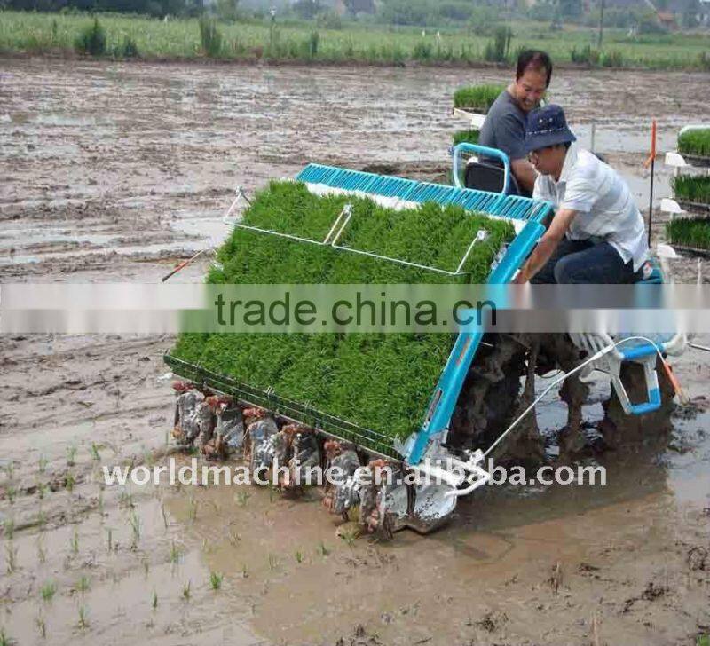 Whirlston High quality 6 Row Riding Type Rice transplanter from China
